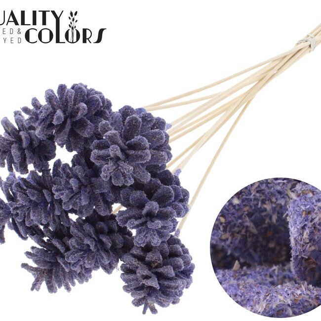 Dennenappel op stok | Kleur: Milkapaars | Sawdust Milka Bijsteker | Diameter dennenappel 5 - 7 centimeter | Lengte ± 50 centimeter | Per 10 bijstekers