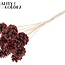 Pinecone on stick | Colour: Brown with Red | Red Tipped Pick | Pinecone diameter 5 - 7 centimetres | Length ± 50 centimetres | Per 10 picks