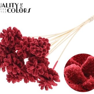 QC Dennenappel op stok | Kleur: Rood | Sawdust Red Bijsteker | Diameter dennenappel 5 - 7 centimeter | Lengte ± 50 centimeter | Per 10 bijstekers