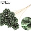 Dennenappel op stok | Kleur: Lichtgroen | Sawdust Light Green Bijsteker | Diameter dennenappel 5 - 7 centimeter | Lengte ± 50 centimeter | Per 10 bijstekers
