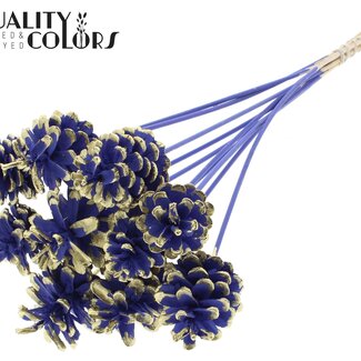 QC Dennenappel op stok | Kleur: Milkapaars met Goud | Milka + Gold Tipped Bijsteker | Diameter dennenappel 5 - 7 centimeter | Lengte ± 50 centimeter | Per 10 bijstekers