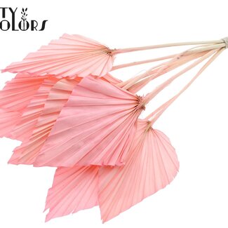 QC Palmier séché en forme de lance | Couleur : Rose clair | Feuilles de palmier en forme de lance | Longueur ± 55 centimètres | Par 10 branches