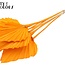 Gedroogde Palm Spear | Kleur: Oranje | Palmbladeren in speervorm | Lengte ± 55 centimeter | Per 10 takken