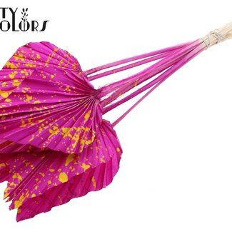 QC Gedroogde Palm Spear | Kleur: Gemengde Kleuren | Gespetterd Lilac Geel | Palmbladeren in speervorm | Lengte ± 55 centimeter | Per 10 takken