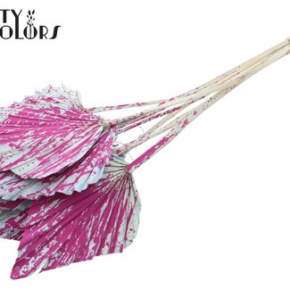 QC Palmier Séché en Lance | Couleur : Couleurs Mixtes | Éclaboussé Bleu Clair Cerise | Feuilles de palmier en forme de lance | Longueur ± 55 centimètres | Par 10 branches