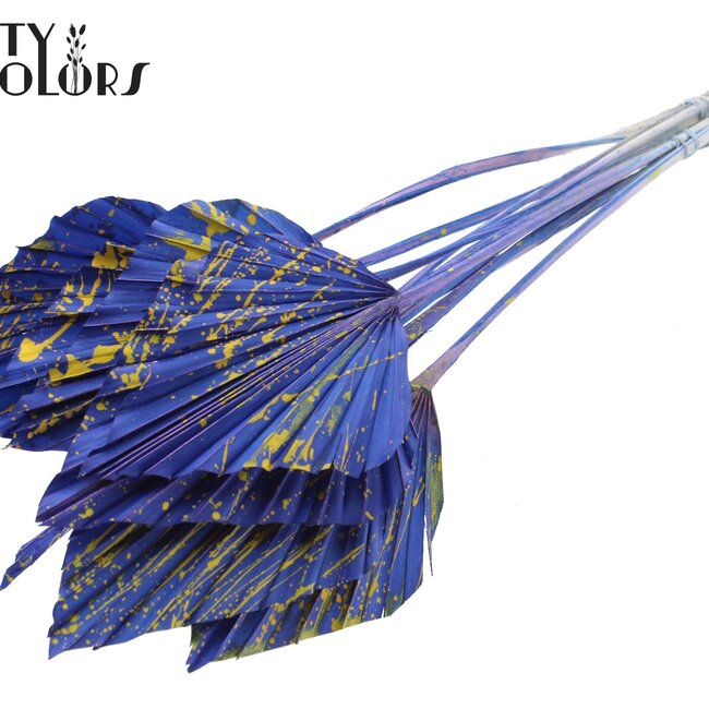 Gedroogde Palm Spear | Kleur: Gemengde Kleuren | Gespetterd Blauw Geel | Palmbladeren in speervorm | Lengte ± 55 centimeter | Per 10 takken