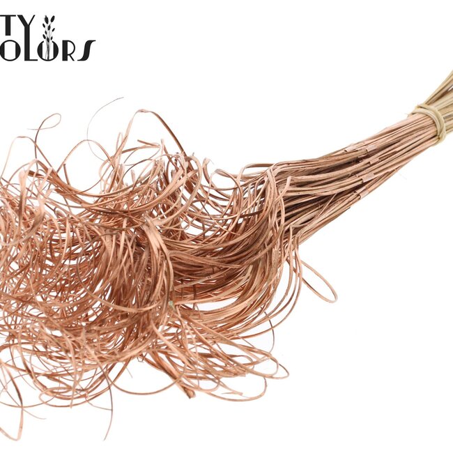 Dried Palm Leaf Vein | Curly Ting Ting | Colour: Copper | Dried Decoration | Length ± 70 centimetres | 3 veins per stem | Per 33 stems