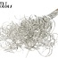 Dried Palm Leaf Vein | Curly Ting Ting | Colour: Platinum | Dried Decoration | Length ± 70 centimetres | 3 veins per stem | Per 33 stems