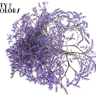 QC Gedroogde Zeelavendel | Kleur: Milkapaars | Limonium Tataricum Droogbloemen | Lengte ± 30 cm | Gewicht 45 gram | Per bos