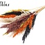 Plumes de Pampas Séchées | Mélange d'Automne | Couleur : Couleurs Mixtes | Fleurs Séchées Pampas | Longueur ± 70 centimètres | 10 plumes par bouquet | Par bouquet
