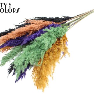 QC Plumes de Pampas Séchées | Mélange Halloween | Couleur : Couleurs Mélangées | Fleurs Séchées de Pampas | Longueur ± 70 centimètres | 10 plumes par bouquet | Par bouquet