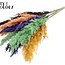 Plumes de Pampas Séchées | Mélange Halloween | Couleur : Couleurs Mixtes | Fleurs Séchées de Pampas | Longueur ± 70 centimètres | 10 plumes par bouquet | Par bouquet
