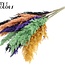 Plumes de Pampas Séchées | Mélange Halloween | Couleur : Couleurs Mixtes | Fleurs Séchées de Pampas | Longueur ± 70 centimètres | 10 plumes par bouquet | Par bouquet