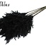 Dried Pampas Plumes | Colour: Black | Pampas Dried Flowers | Length ± 70 centimetres | 10 plumes per bunch | Per bunch