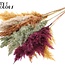 Dried Pampas Plumes | Pumpkin Spice mix | Colour: Mixed Colours | Pampas Dried Flowers | Length ± 70 centimetres | 10 plumes per bunch | Per bunch