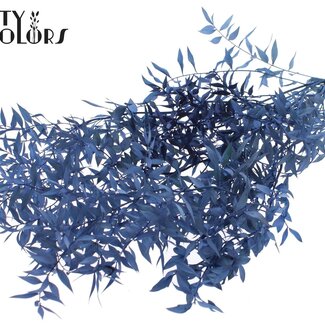 QC Gedroogde Ruscus | Kleur: Donkerblauw | Ruscus Droogbloemen | Lengte ± 70 centimeter | 10 takken per bos | Per bos