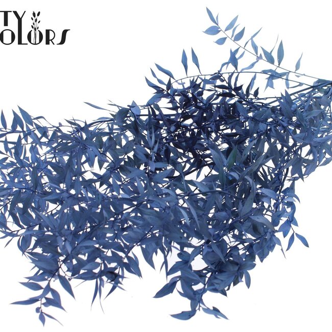 Ruscus séché | Couleur : Bleu foncé | Fleurs séchées de Ruscus | Longueur ± 70 centimètres | 10 branches par bouquet | Par bouquet