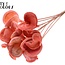 Amande sur tige | Couleur : Corail | Longueur de la tige ± 50 centimètres | Par 10 tiges