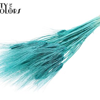 QC Blé Barbu Séché | Couleur : Turquoise Intense | Triticum Barbu Fleurs Séchées | Longueur ± 70 centimètres | Par bouquet