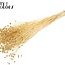 Dried Flax | Colour: Bleached | Linum Dried Flowers | Length ± 70 centimetres | Per bunch