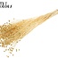 Dried Flax | Colour: Bleached | Linum Dried Flowers | Length ± 70 centimetres | Per bunch