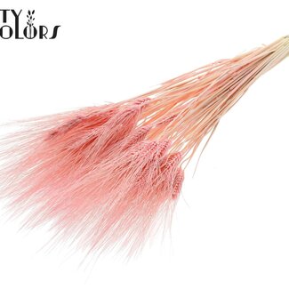 QC Gedroogde Baardtarwe | Kleur: Intens Lichtroze | Triticum Beard Droogbloemen | Lengte ± 70 centimeter | Per bos