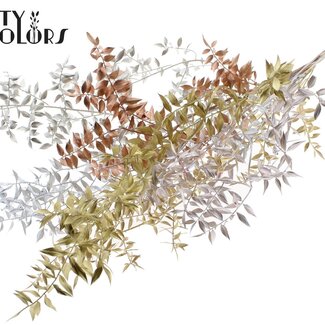 QC Ruscus séché | Mélange métallique | Couleur : Couleurs mélangées | Fleurs séchées de Ruscus | Longueur ± 70 centimètres | 10 tiges par bouquet | Par bouquet