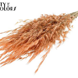 QC Getrockneter Wilder Hafer | Farbe: Frostiges Lachsrosa | Wilde Avena Trockenblumen | Länge ± 70 Zentimeter | Gewicht 100 Gramm | Pro Bund