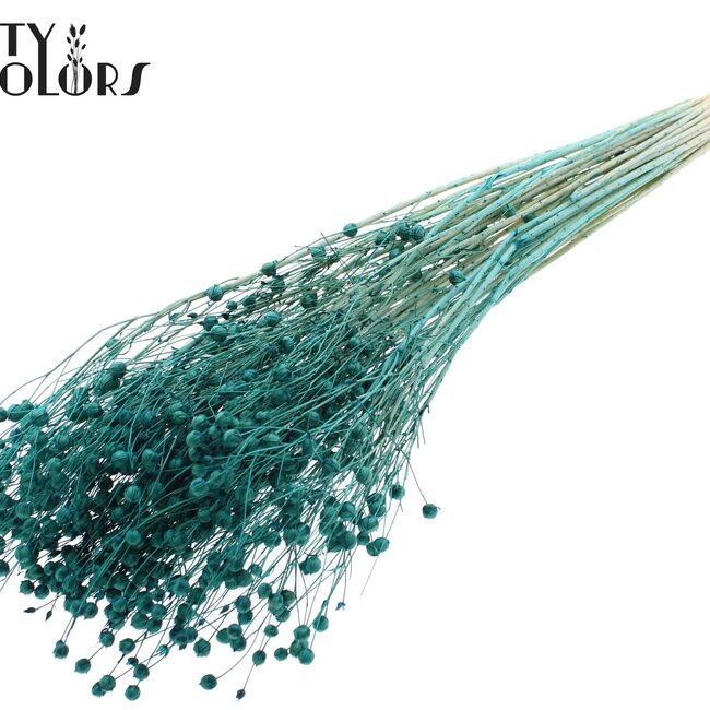 Gedroogd Vlas | Kleur: Intens Turquoise | Linum Droogbloemen | Lengte ± 70 centimeter | Gewicht 100 gram | Per bos