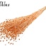 Dried Flax | Colour: Intense Frosted Salmon | Linum Dried Flowers | Length ± 70 centimetres | Weight 100 grams | Per bunch
