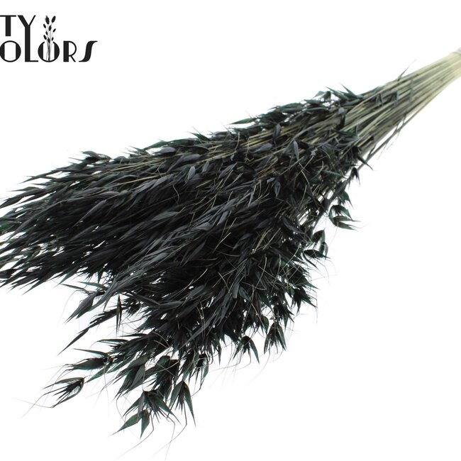 Gedroogde Wilde Haver | Kleur: Zwart | Wilde Avena Droogbloemen | Lengte ± 70 centimeter | Gewicht 100 gram | Per bos