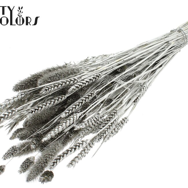 Dried Flower Mix Bouquet | Colour: Platinum | Length ± 60 centimetres | Per bunch