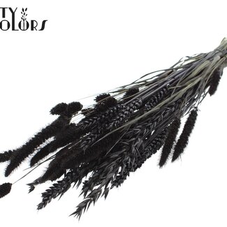 QC Bouquet de Fleurs Séchées | Couleur : Noir | Longueur ± 60 centimètres | Par bouquet