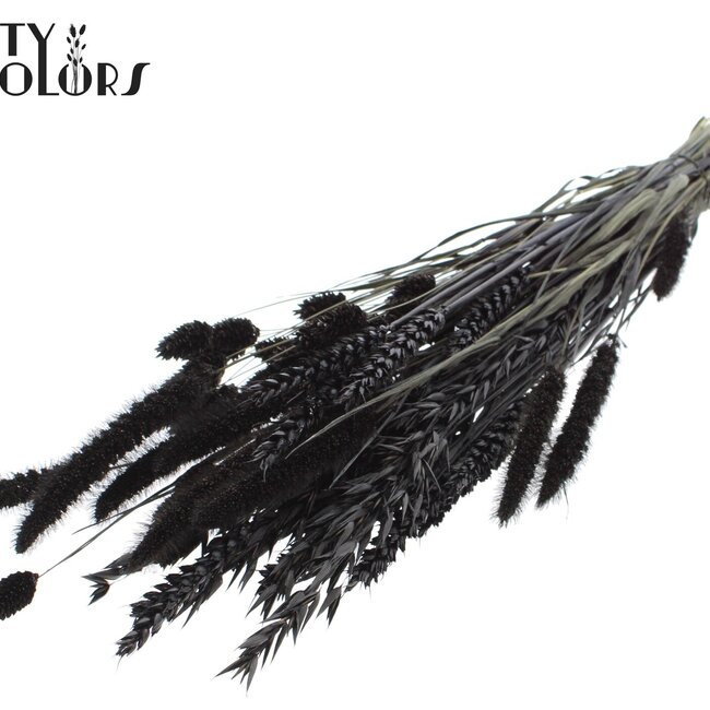 Dried Flower Mix Bouquet | Colour: Black | Length ± 60 centimetres | Per bunch