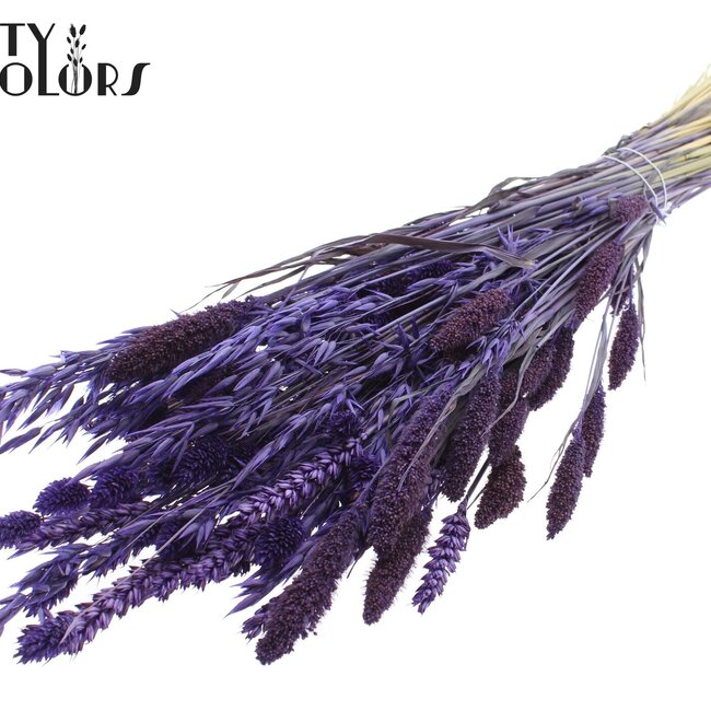 Bouquet de Fleurs Séchées Mixte | Couleur : Violet | Longueur ± 60 centimètres | Par bouquet