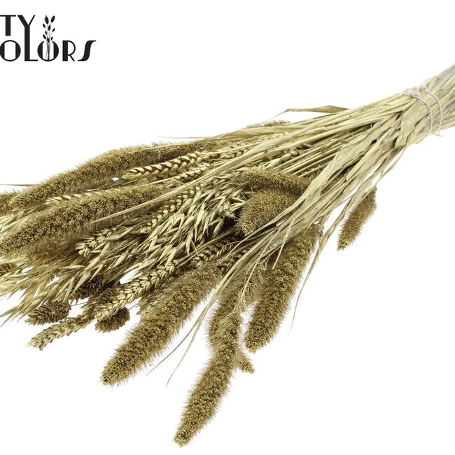 Getrocknete Blumenmix-Strauß | Farbe: Goldfarben | Länge ± 60 Zentimeter | Pro Bund