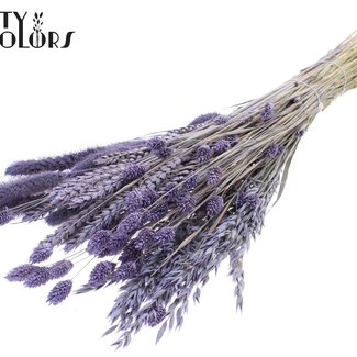 QC Mélange de Fleurs Séchées Bouquet | Couleur : Violet Lait Givré | Longueur ± 60 centimètres | Par bouquet