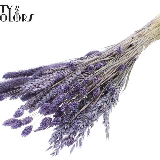 Bouquet de Fleurs Séchées | Couleur : Violet Lait Givré | Longueur ± 60 centimètres | Par bouquet