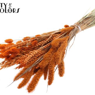 QC Gedroogde Bloemenmix Boeket | Kleur: Oranje | Lengte ± 60 centimeter | Per bos