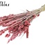 Dried Flower Mix Bouquet | Colour: Frosted Pink | Length ± 60 centimetres | Per bunch