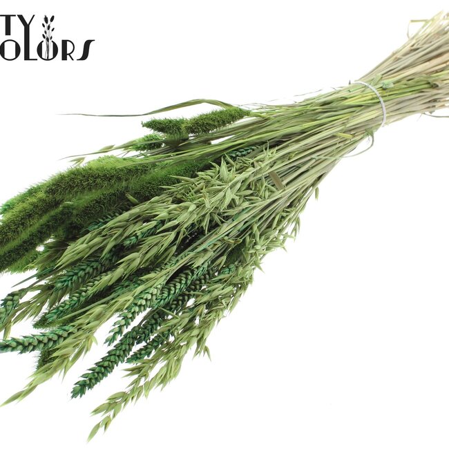 Bouquet de Fleurs Séchées | Couleur : Vert clair | Longueur ± 60 centimètres | Par bouquet