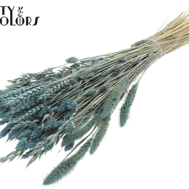 Dried Flower Mix Bouquet | Colour: Frosted Light Blue | Length ± 60 centimetres | Per bunch