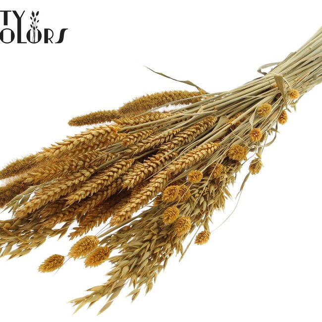 Dried Flower Mix Bouquet | Colour: Apricot | Length ± 60 centimetres | Per bunch