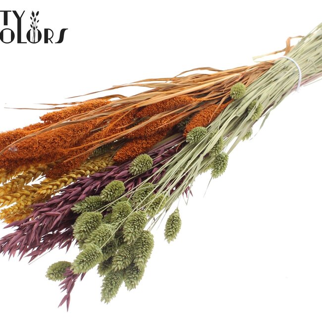 Gedroogde Bloemenmix Boeket | Pumpkin Spice | Kleur: Gemengde Kleuren | Lengte ± 60 centimeter | Per bos