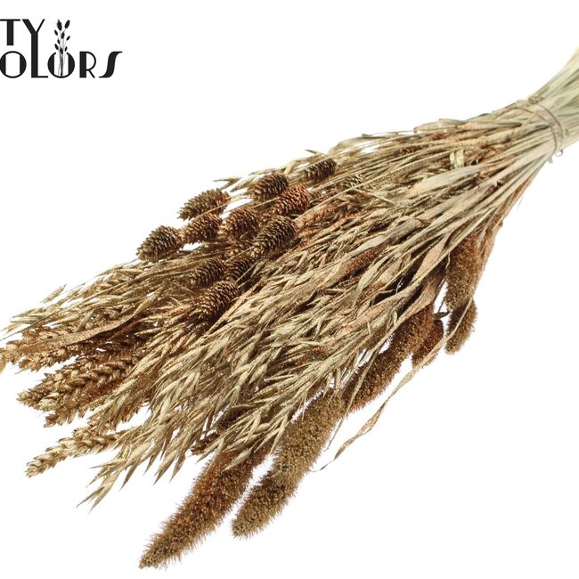 Dried Flower Mix Bouquet | Colour: Antique Gold with Glitter | Length ± 60 centimetres | Per bunch