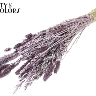 QC Dried Flower Mix Bouquet | Colour: Metallic Pink | Length ± 60 centimetres | Per bunch