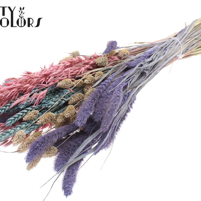 Gedroogde Bloemenmix Boeket | Colourful 1 | Kleur: Gemengde Kleuren | Lengte ± 60 centimeter | Per bos