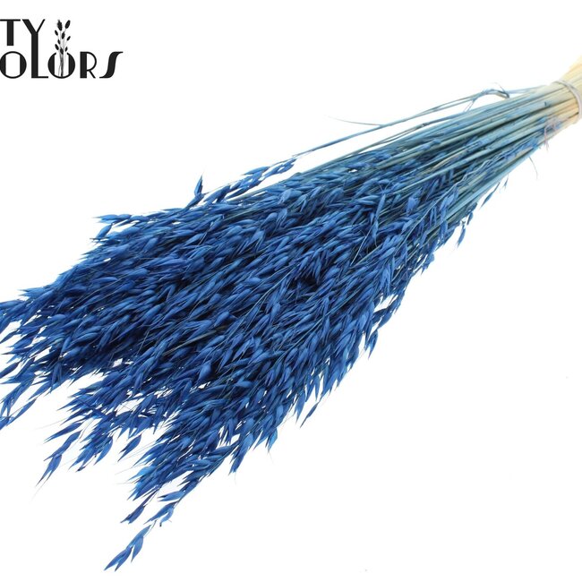Gedroogde Haver | Kleur: Intens Blauw | Avena droogbloemen | Lengte ± 60 centimeter | Gewicht 200 gram | Per bos