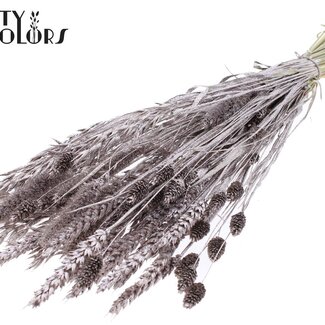 QC Gedroogde Bloemenmix Boeket | Kleur: Champagnekleurig met Glitter | Lengte ± 60 centimeter | Per bos