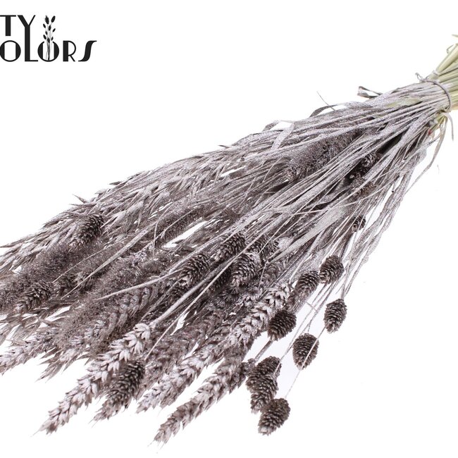 Bouquet de Fleurs Séchées | Couleur : Champagne avec Paillettes | Longueur ± 60 centimètres | Par botte